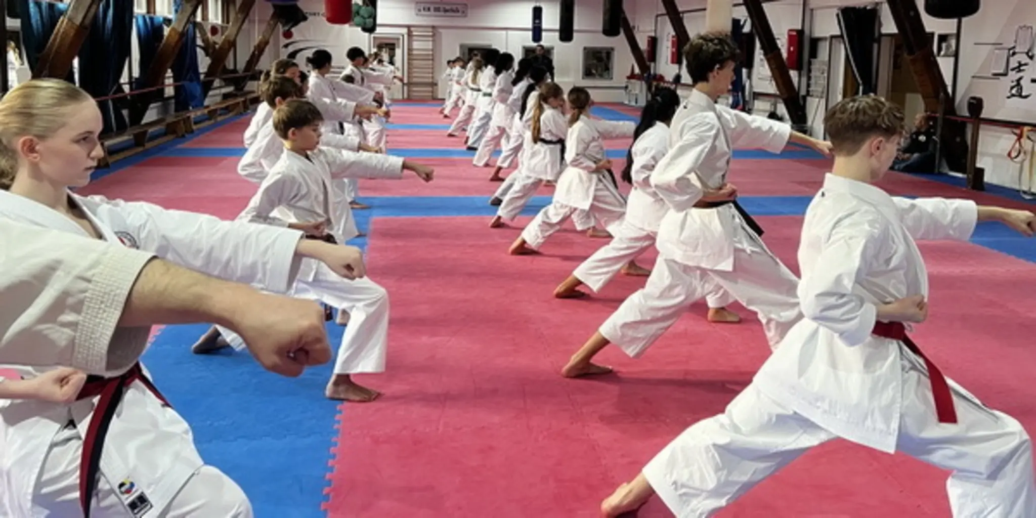 Verbandsoffener Koshinkan Kata- und Kumite-Lehrgang im BSC eV #1